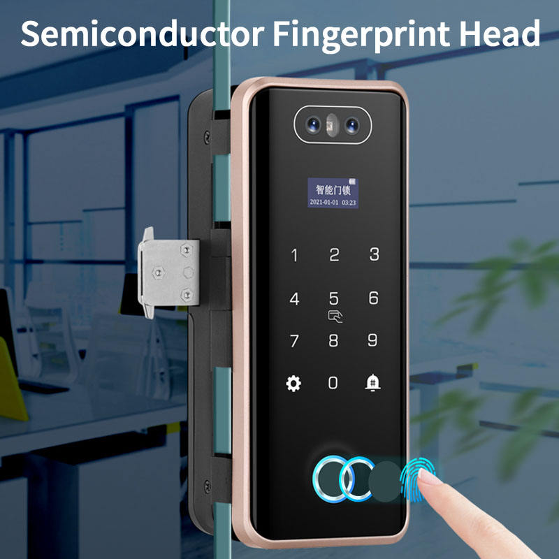 WiFi Fingerprint Alexa Smart Lock Sliding Glass Door Office Smart Digital Door Lock Key Digital Camera Facial Recognition