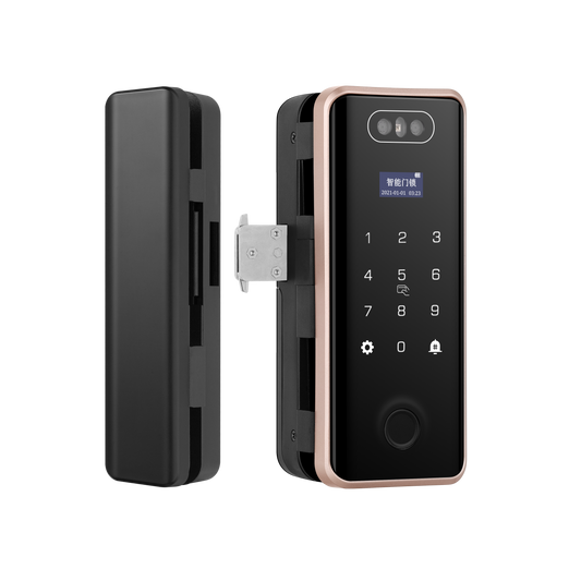 WiFi Fingerprint Alexa Smart Lock Sliding Glass Door Office Smart Digital Door Lock Key Digital Camera Facial Recognition