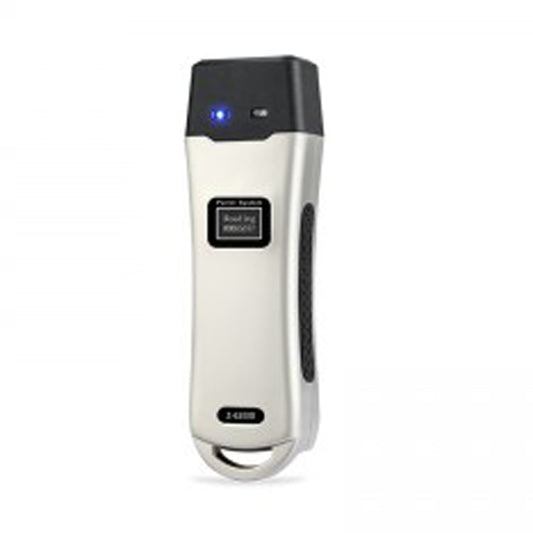 Z-6200D RFID Guard Tour with LCD Screen